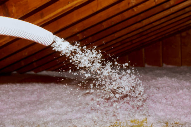 Best Energy Efficiency Insulation in Kahului, HI