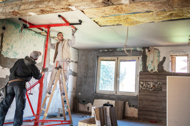 Best Cellulose Insulation in Kahului, HI