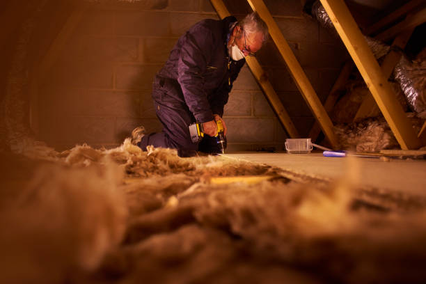 Best Blown-in Insulation in Kahului, HI